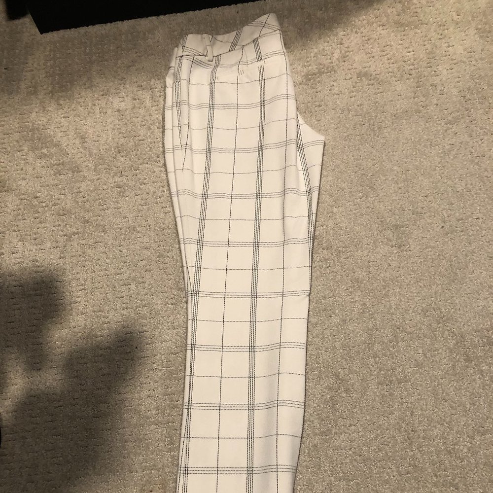 Express Columnists Pant's Size 10r - image 1